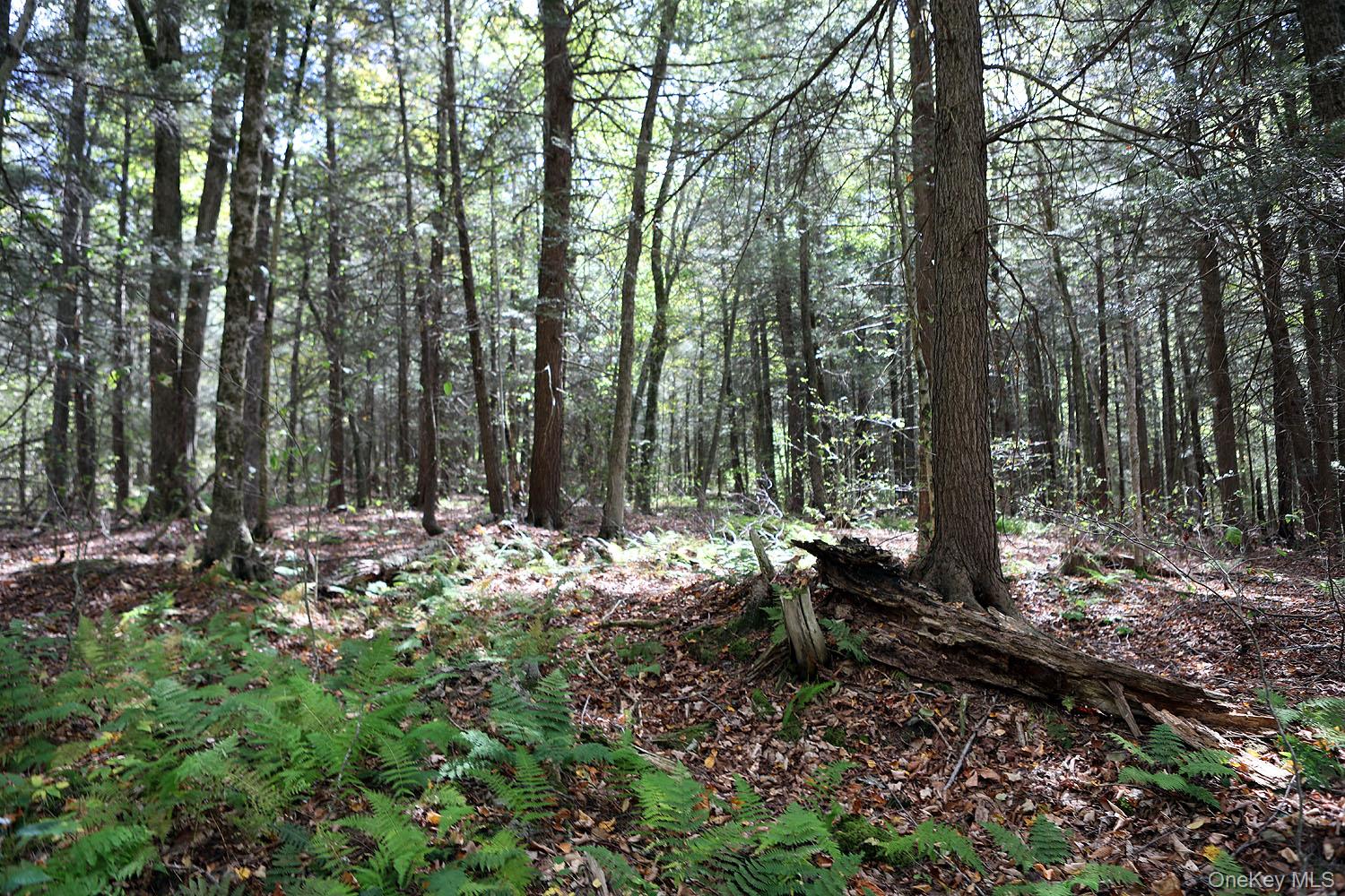 0 Rt-97, Long Eddy, NY 13783