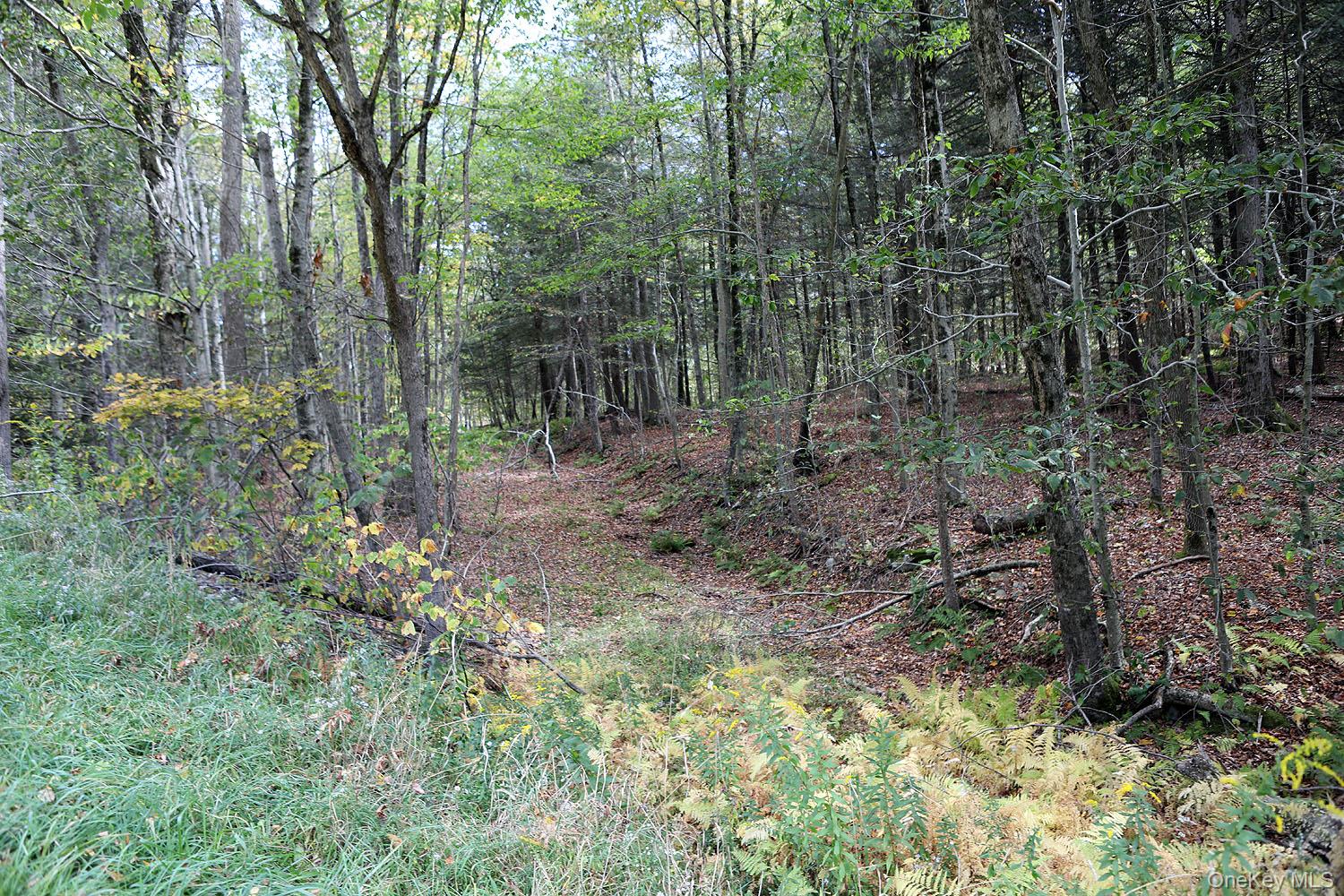 0 Rt-97, Long Eddy, NY 13783