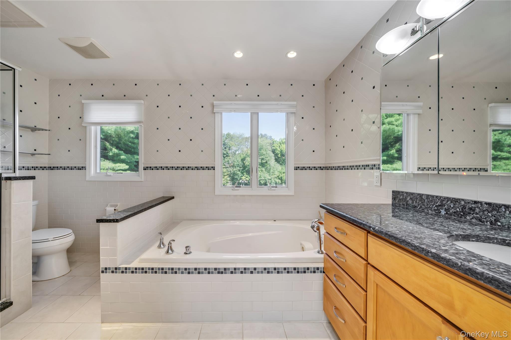 12 Snowdrop Drive, New City, NY 10956