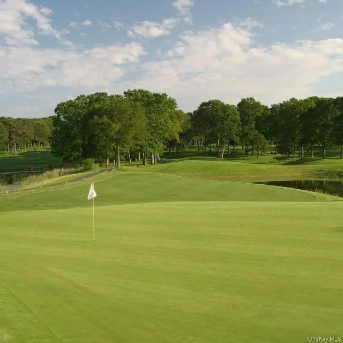 804 Birchwood Park Drive # 7, Middle Island, NY 11953