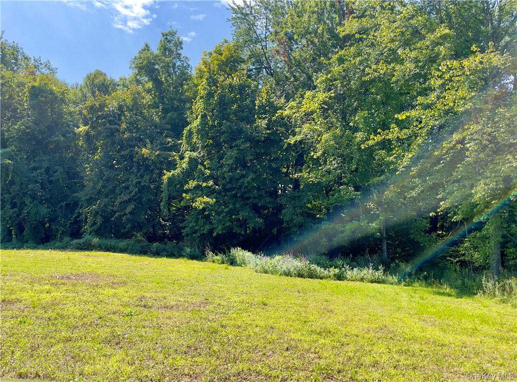 27 Picnic Woods Road, Clintondale, NY 12515