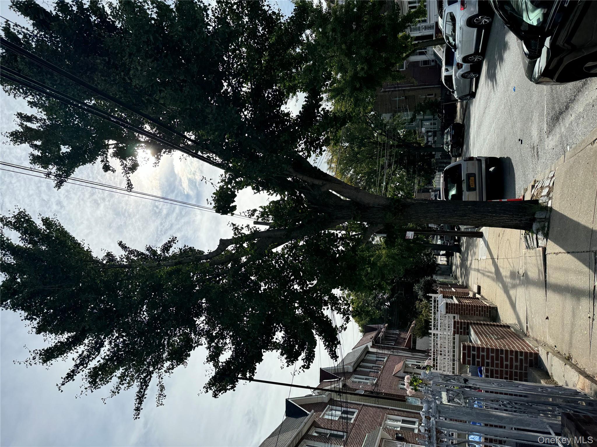 927 E 219th Street, Bronx, NY 10469