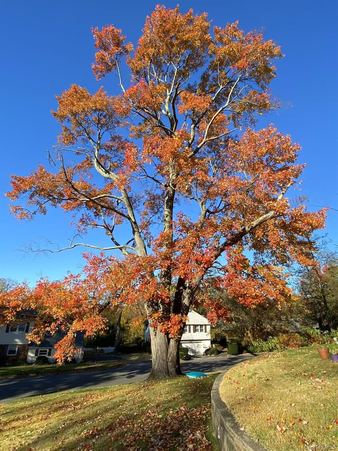 17 Pinewood Road, Manhasset, NY 11030