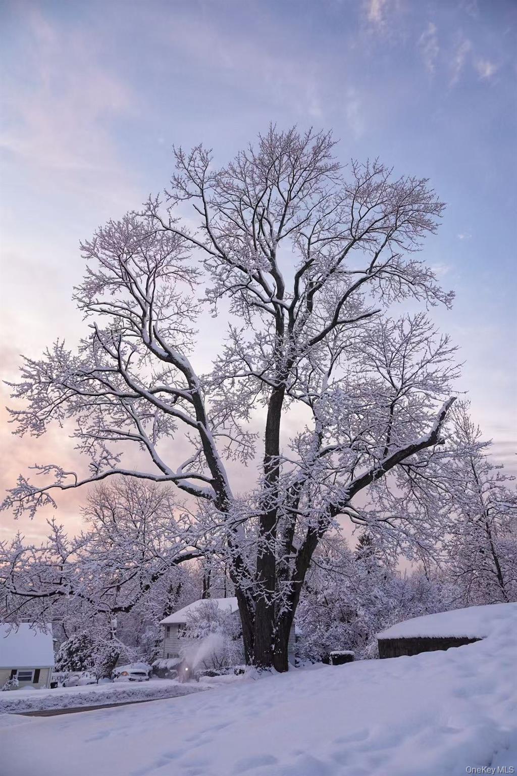 17 Pinewood Road, Manhasset, NY 11030