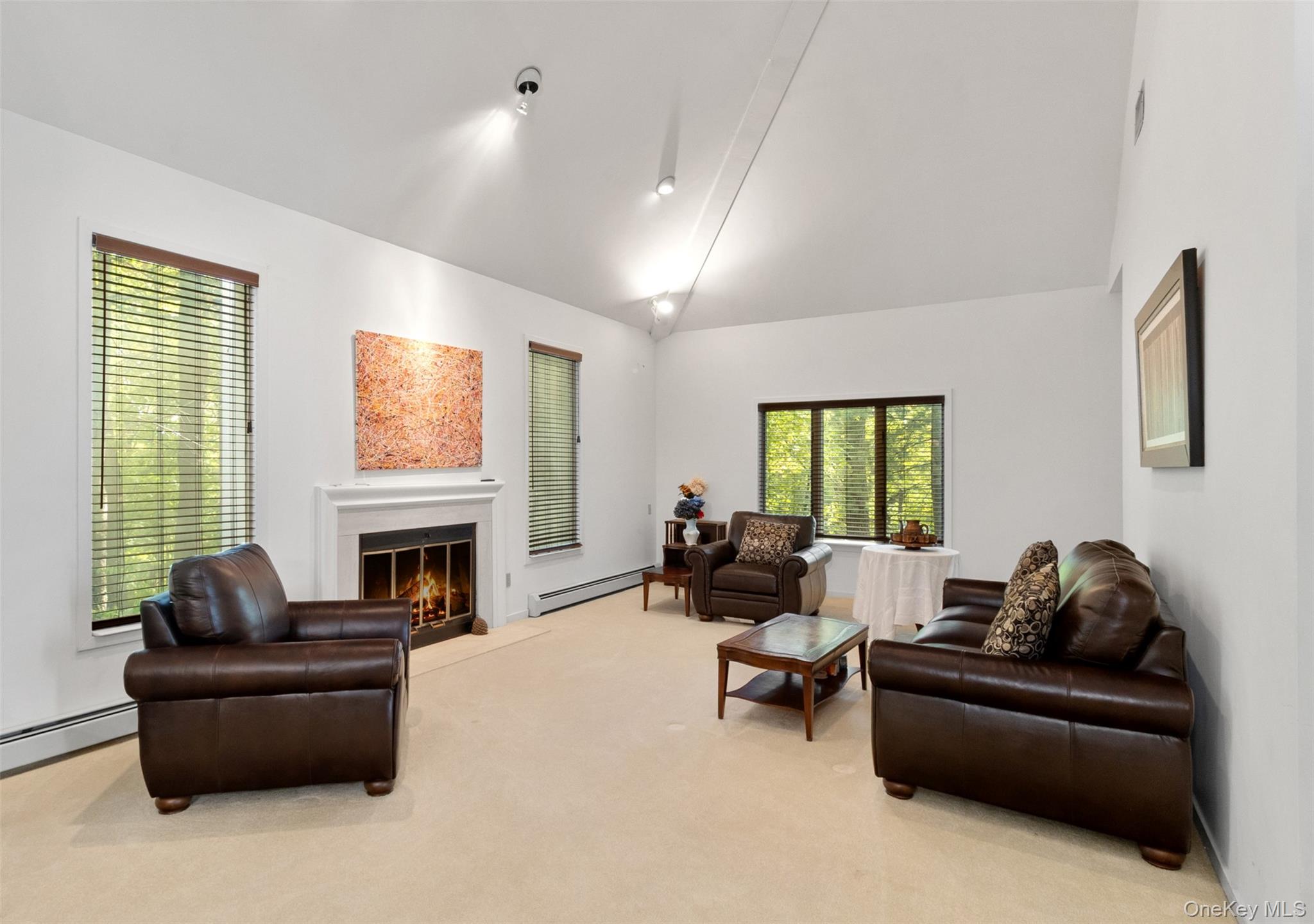 6 Greenwood Court, Briarcliff Manor, NY 10510