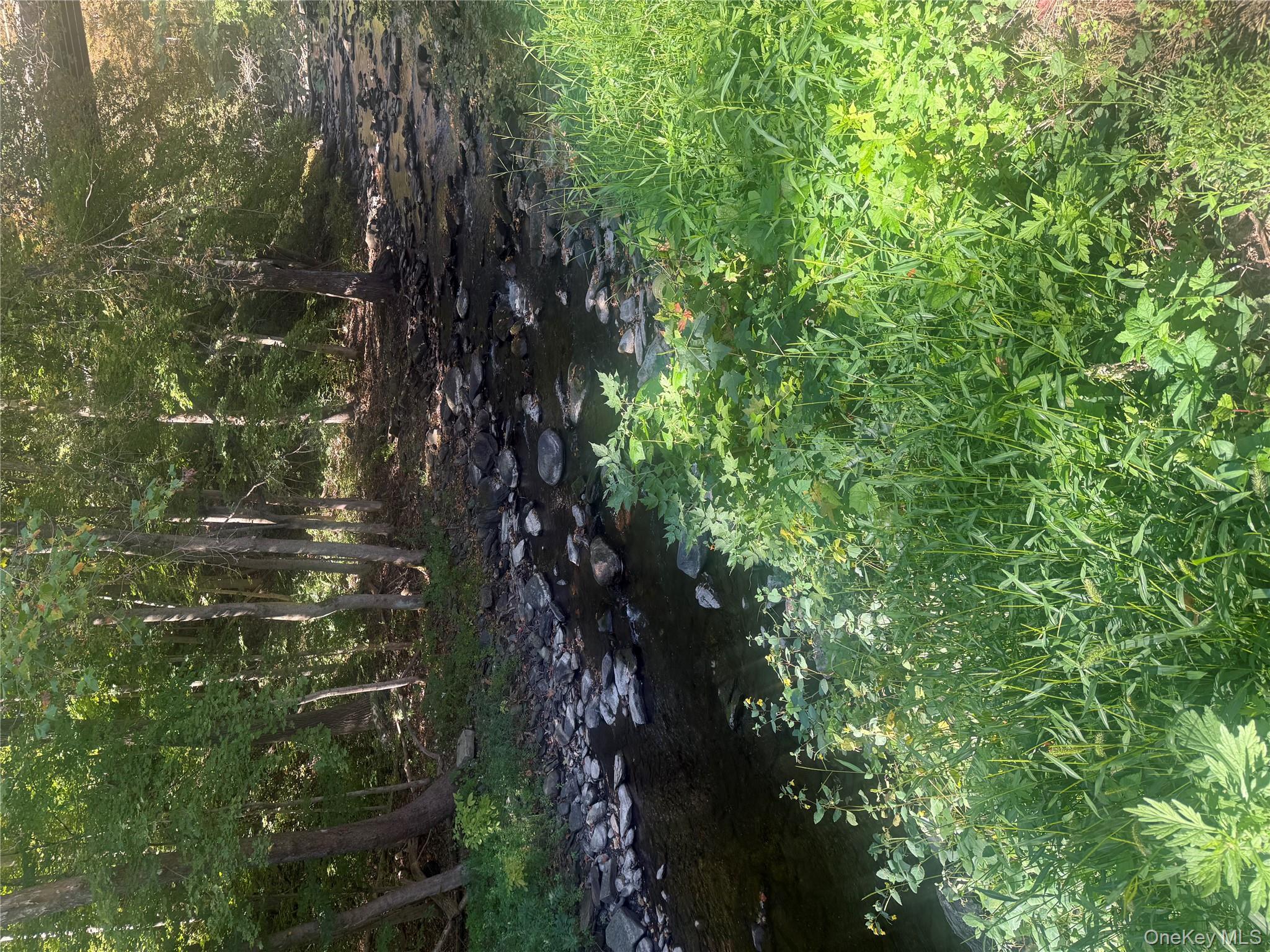 18 Furnace Bank Road # 2, Wassaic, NY 12592