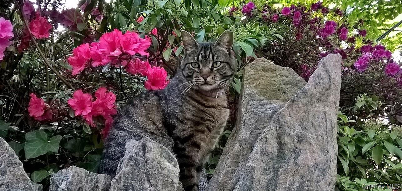 130 E Cedar Street, Fleetwood, NY 10552