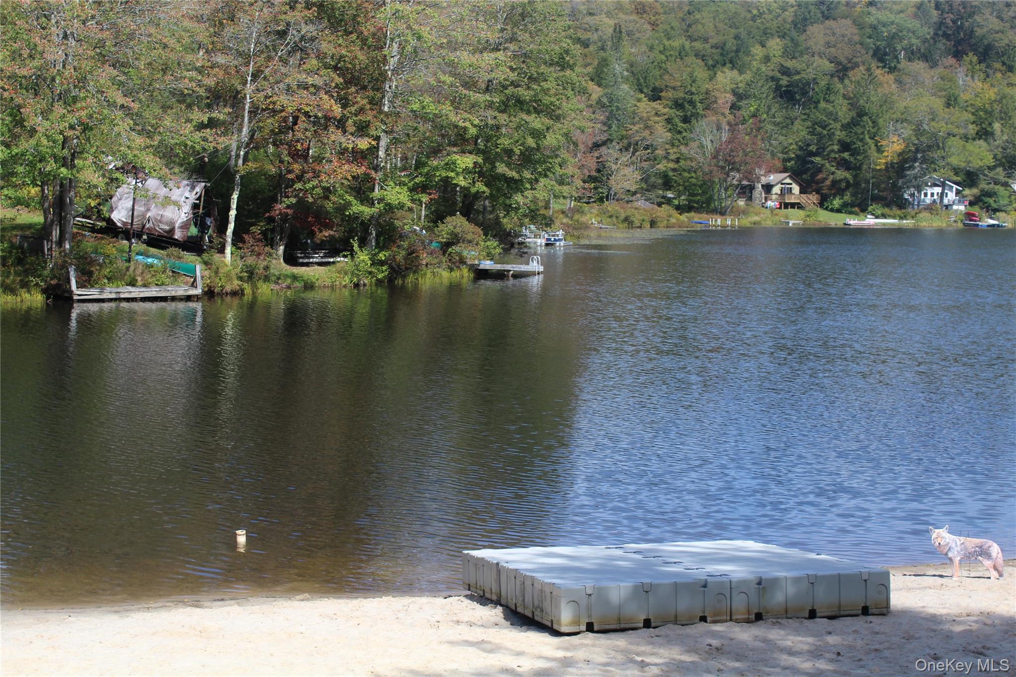 Trout Brook Road, Roscoe, NY 12736