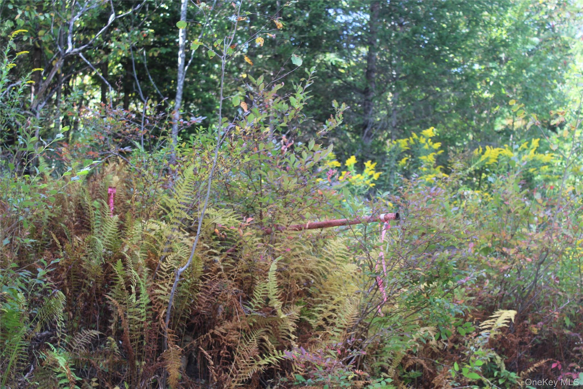 Trout Brook Road, Roscoe, NY 12736