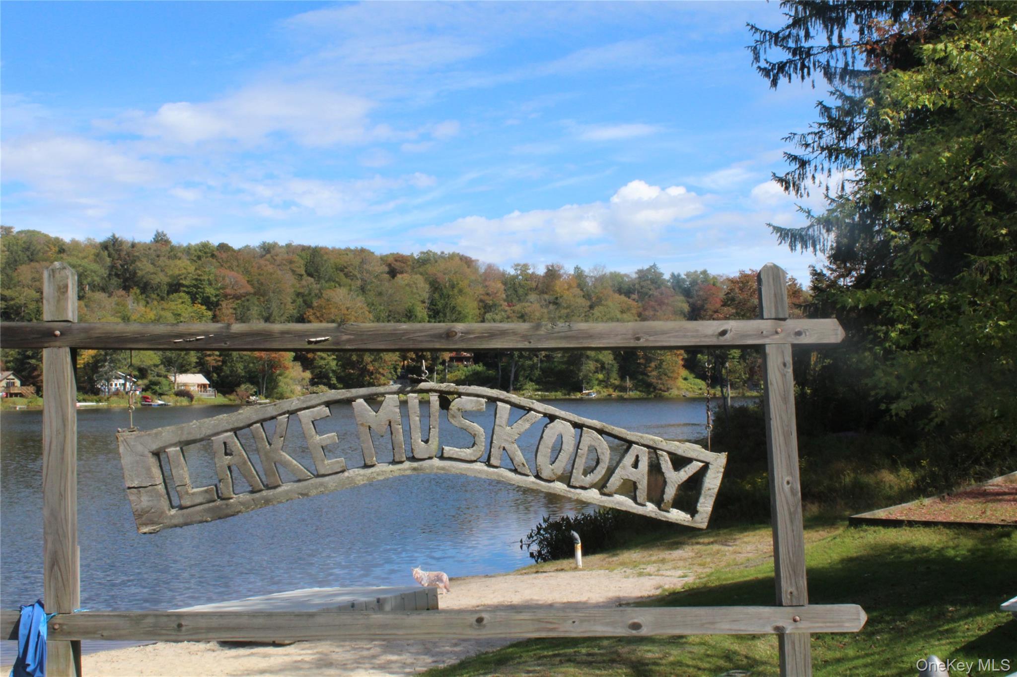 Trout Brook Road, Roscoe, NY 12736