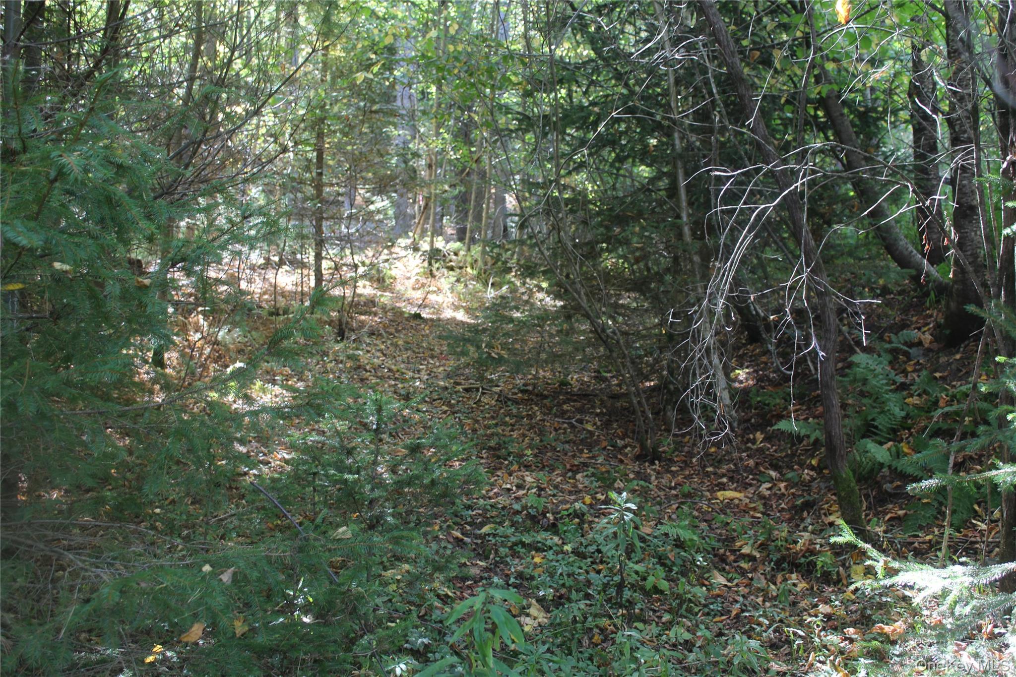 Trout Brook Road, Roscoe, NY 12736