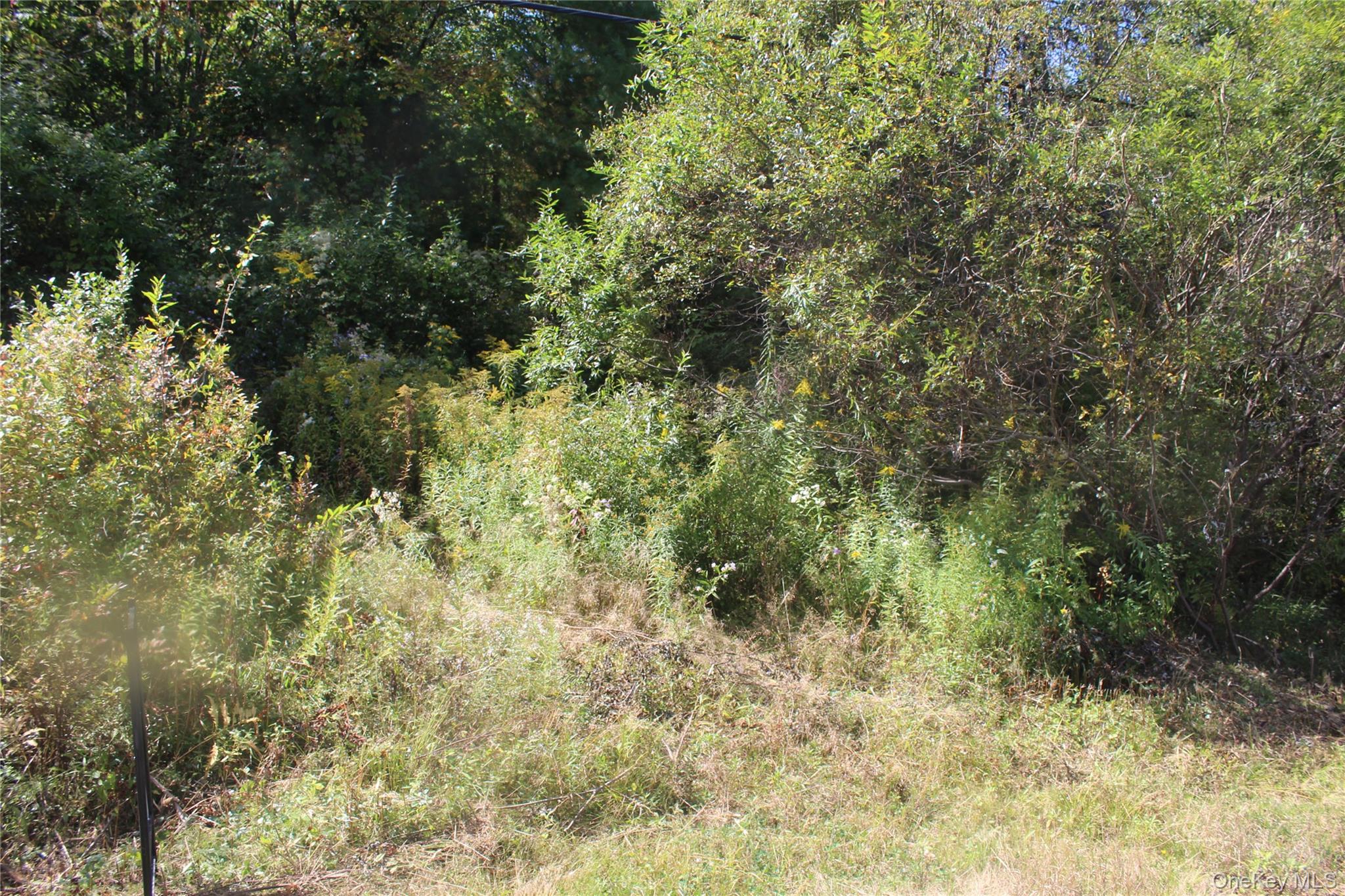 Trout Brook Road, Roscoe, NY 12736