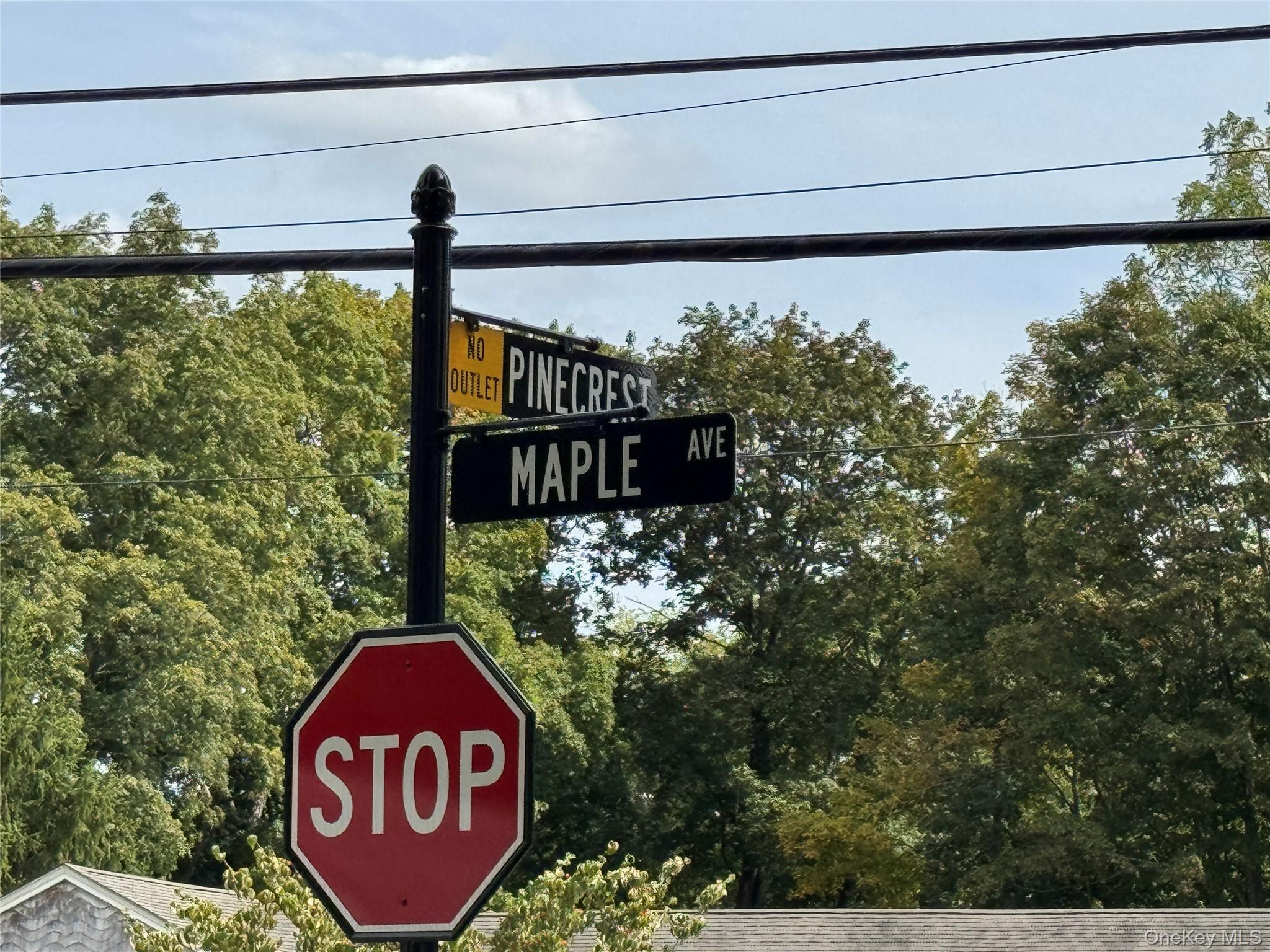 1 Pinecrest, Warwick, NY 10990