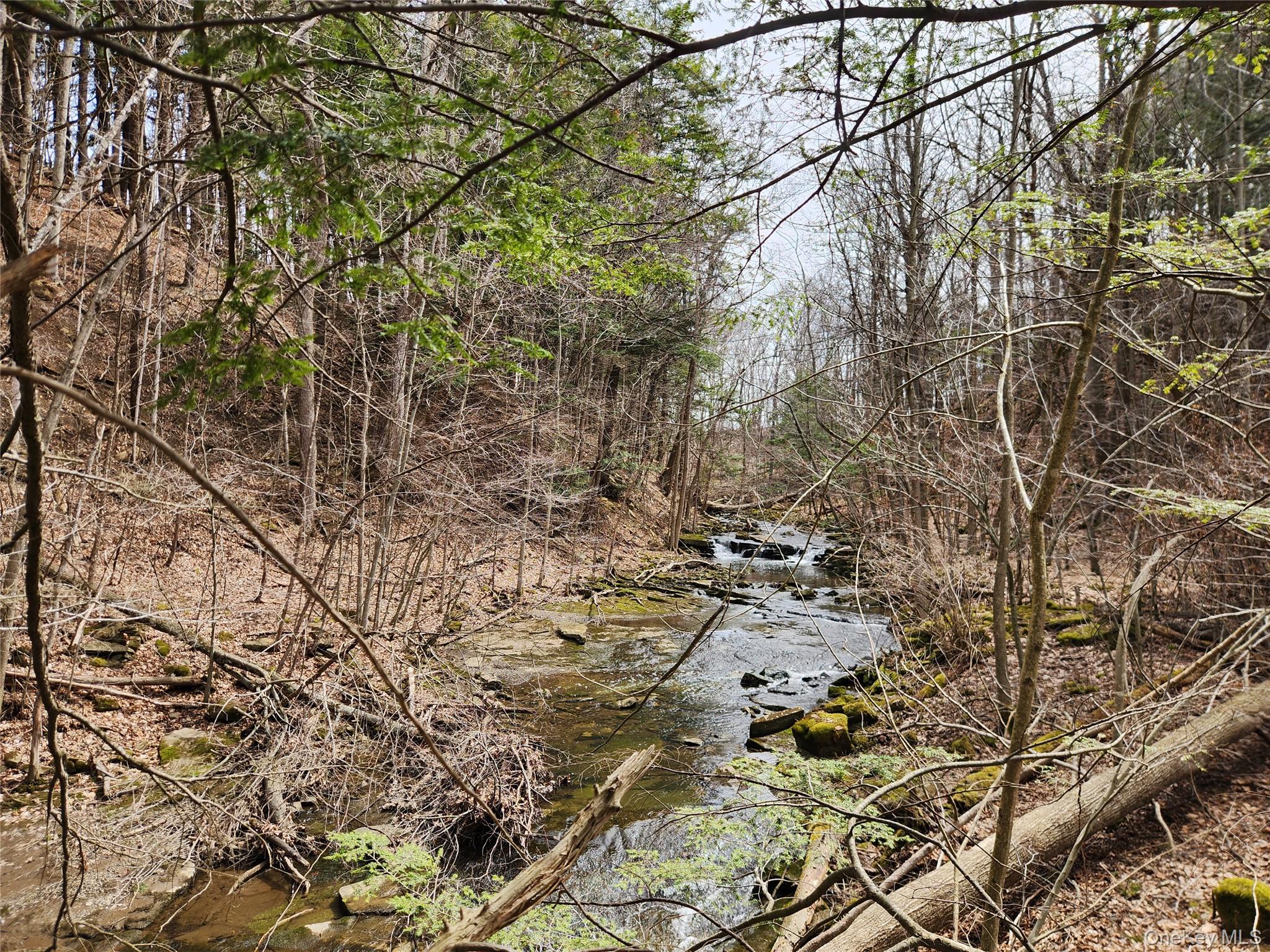 Moyer Rd, Other, NY 12166