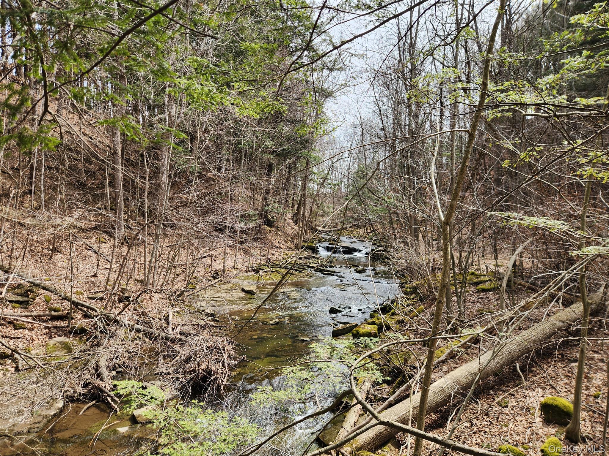 Moyer Rd, Other, NY 12166