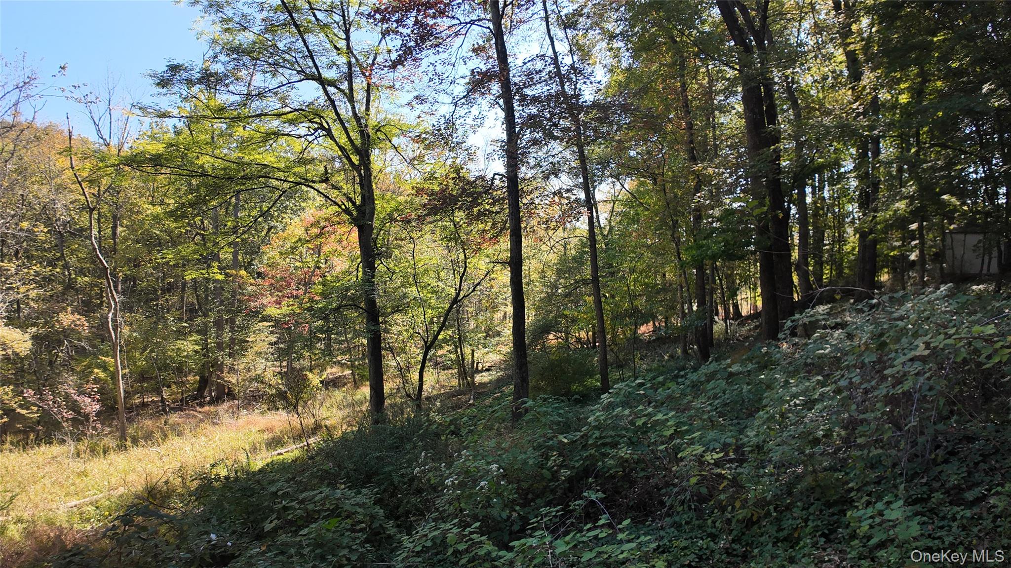 96 Old Pascack Road, Pearl River, NY 10965