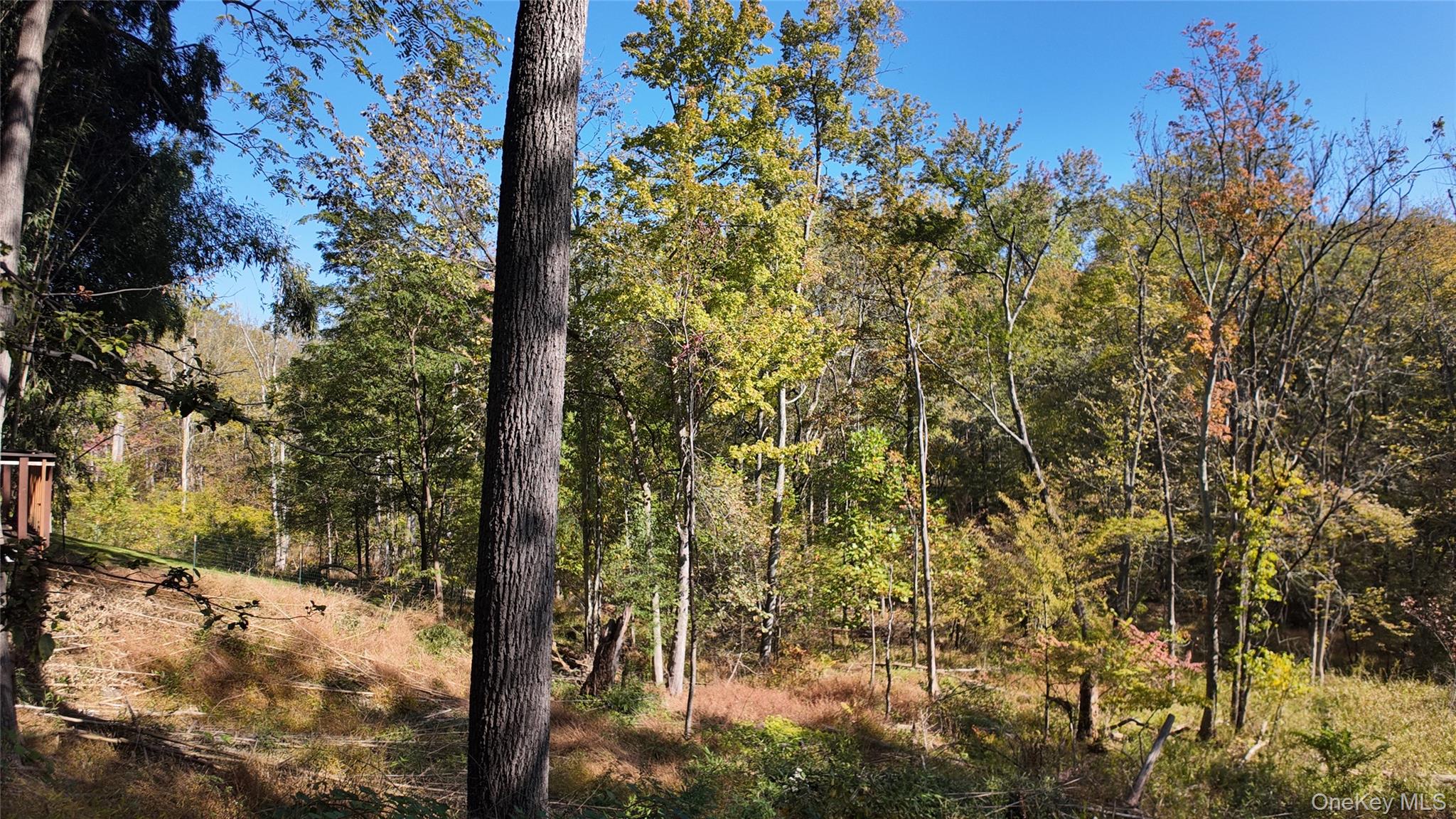 96 Old Pascack Road, Pearl River, NY 10965