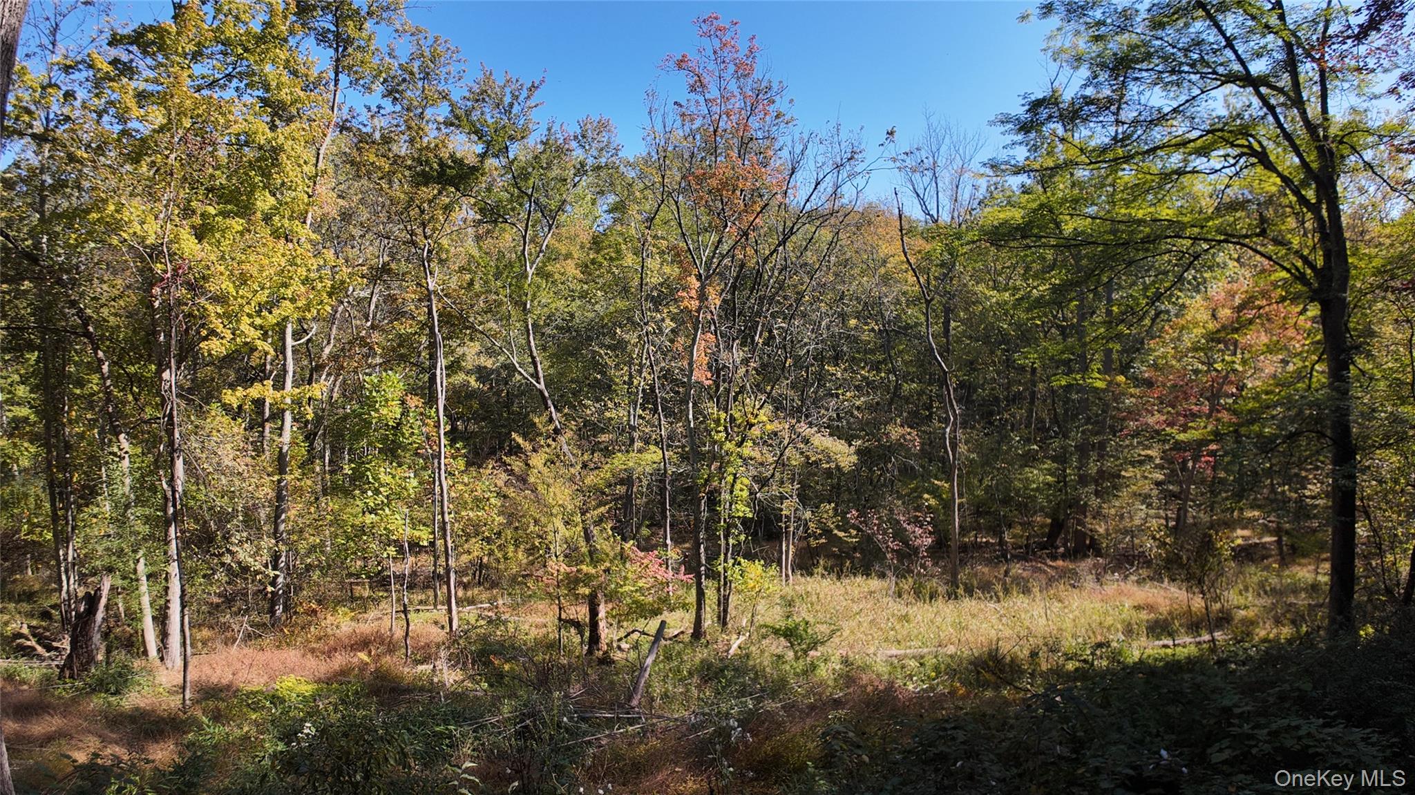 96 Old Pascack Road, Pearl River, NY 10965