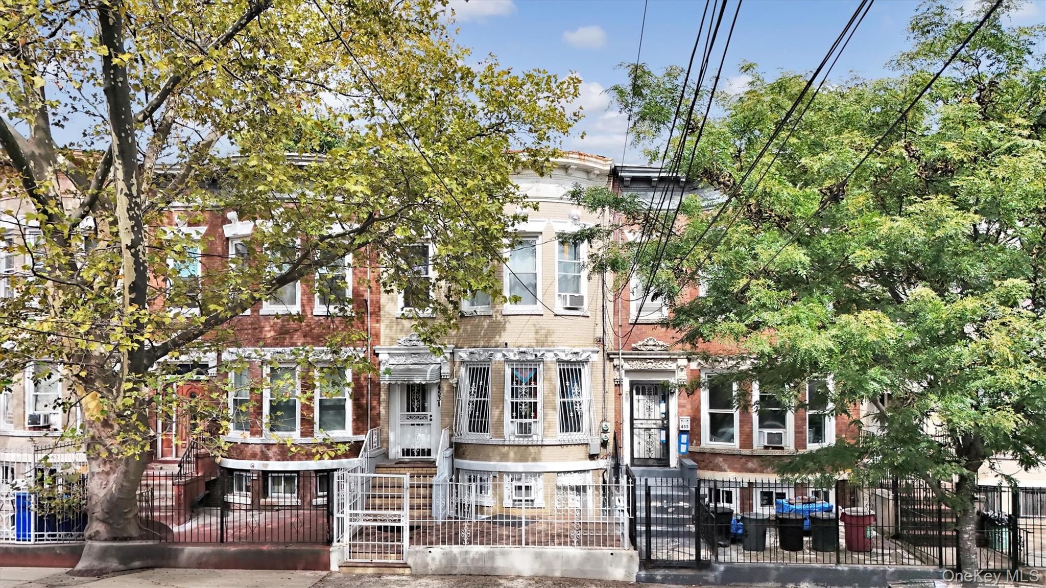 453 Ridgewood Avenue, Brooklyn, NY 11208