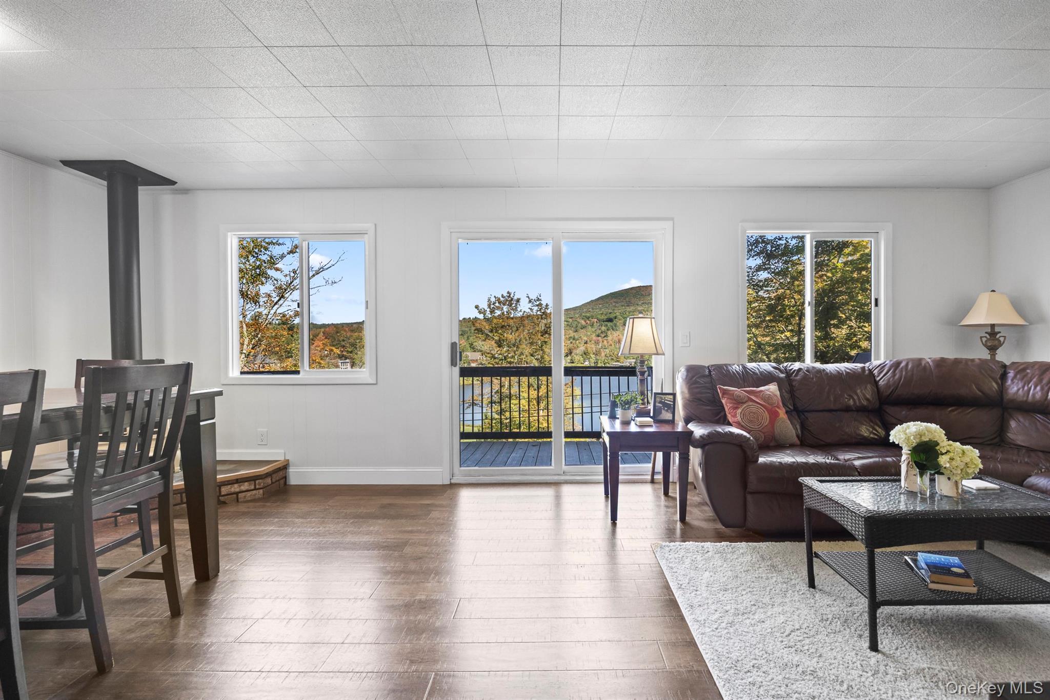 177 Pine Lane, Hunter, NY 12442