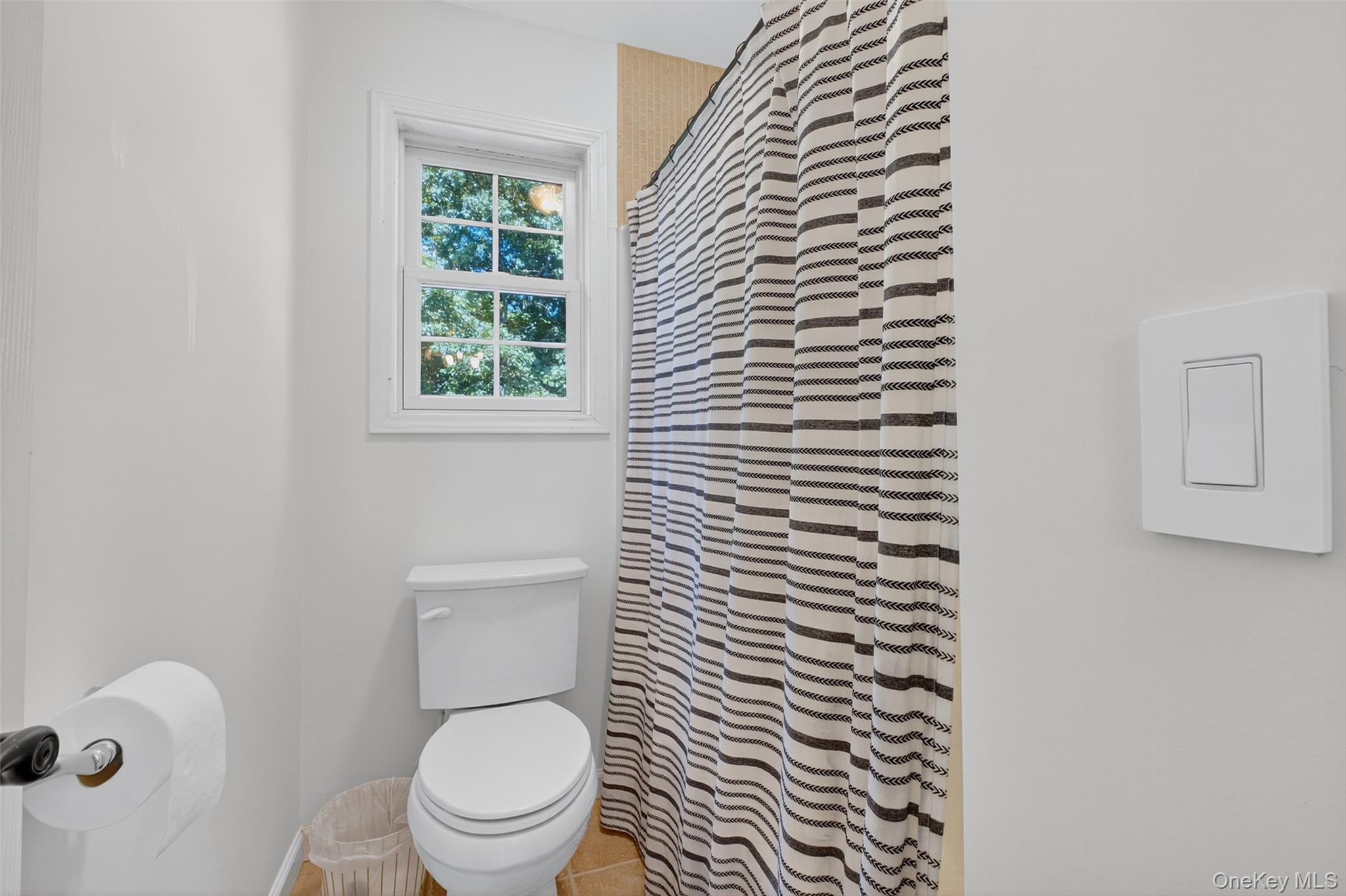 161 Shagbark Lane, Hopewell Junction, NY 12533