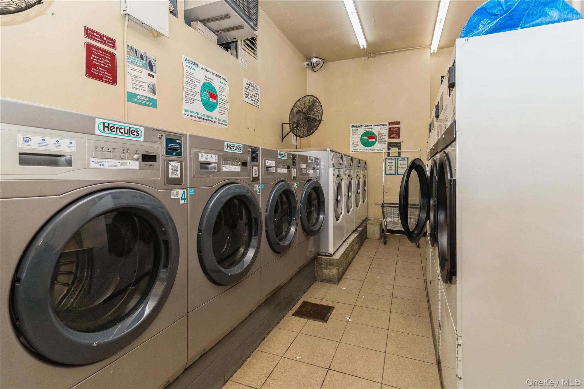 74 Finch Lane # 74, Islip, NY 11751