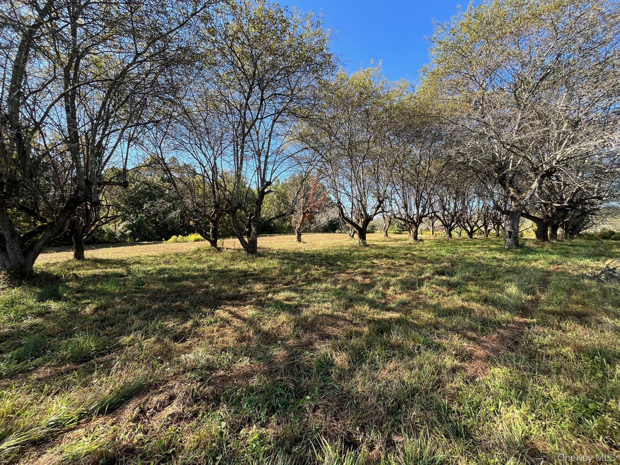 989 State Route 32, Newburgh, NY 12589