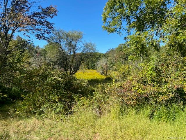 989 State Route 32, Newburgh, NY 12589