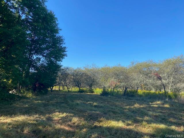 989 State Route 32, Newburgh, NY 12589