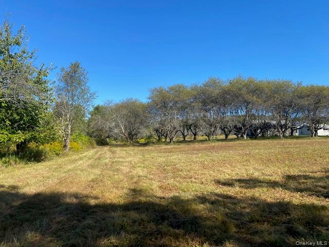 989 State Route 32, Newburgh, NY 12589