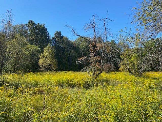 989 State Route 32, Newburgh, NY 12589