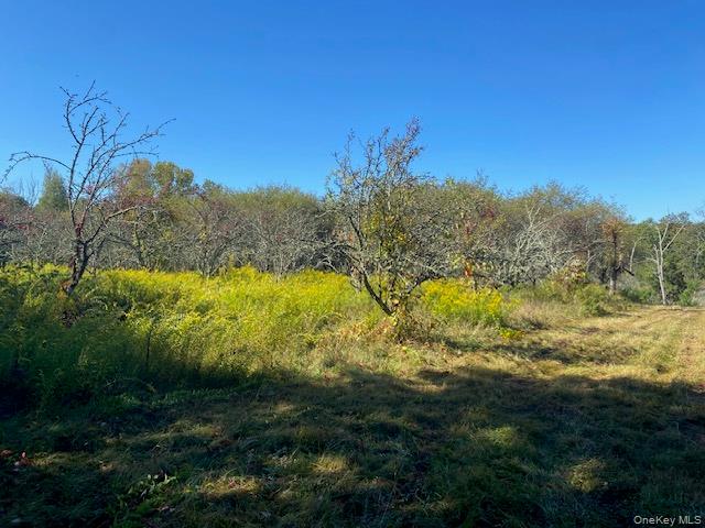 989 State Route 32, Newburgh, NY 12589