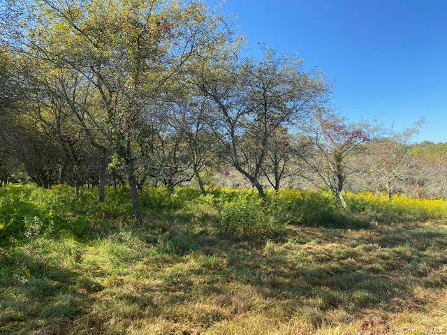 989 State Route 32, Newburgh, NY 12589