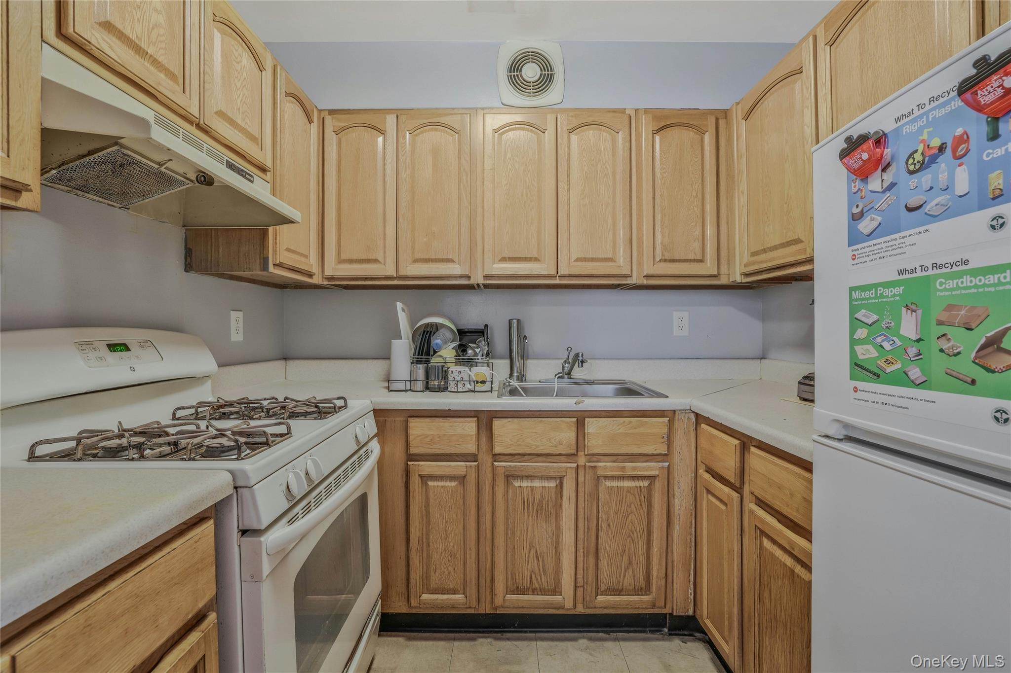 747 Essex Street, Brooklyn, NY 11208