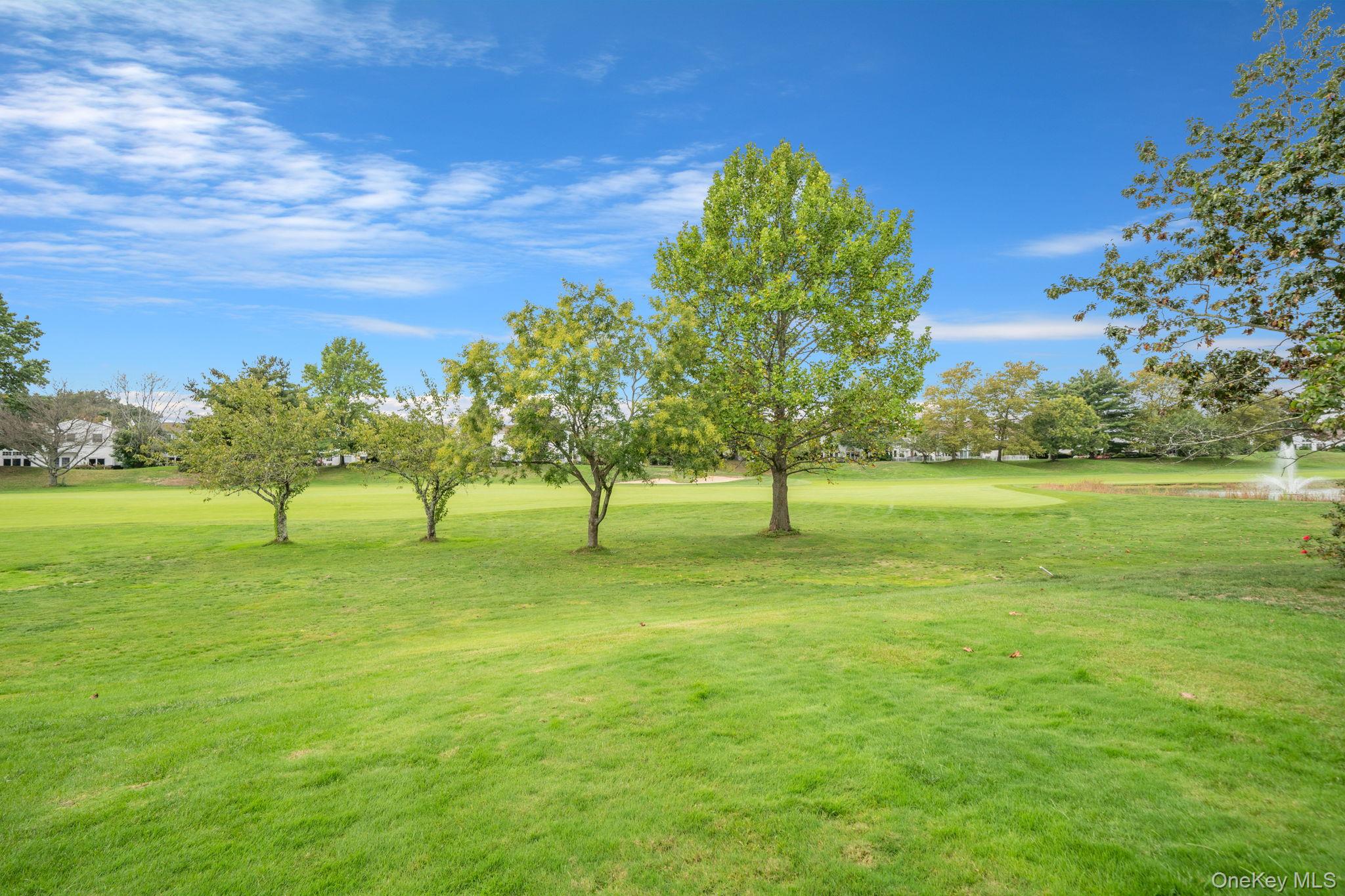 52 Hamlet Drive # 52, Commack, NY 11725