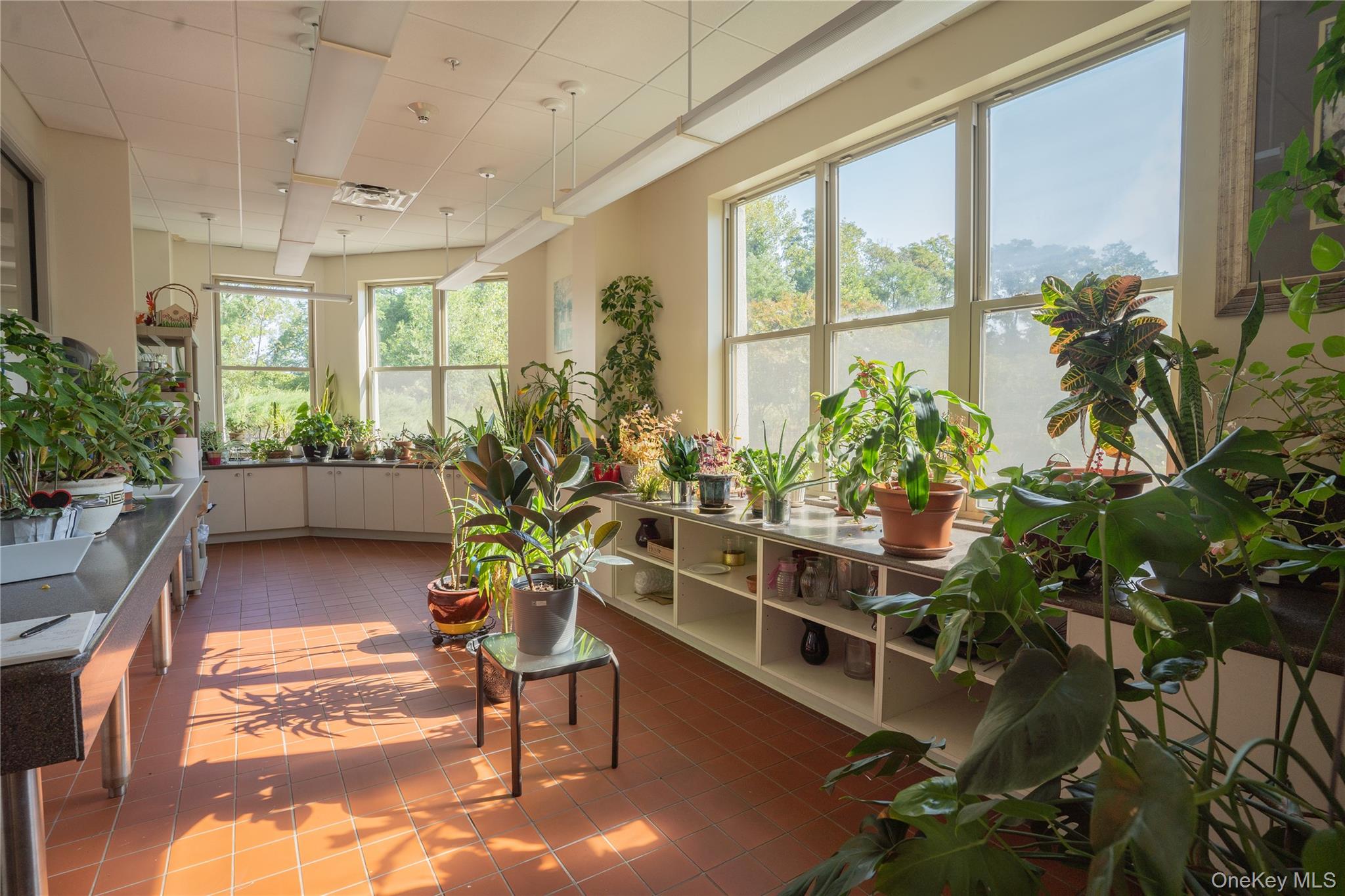 300 East Overlook # 347, Port Washington, NY 11050