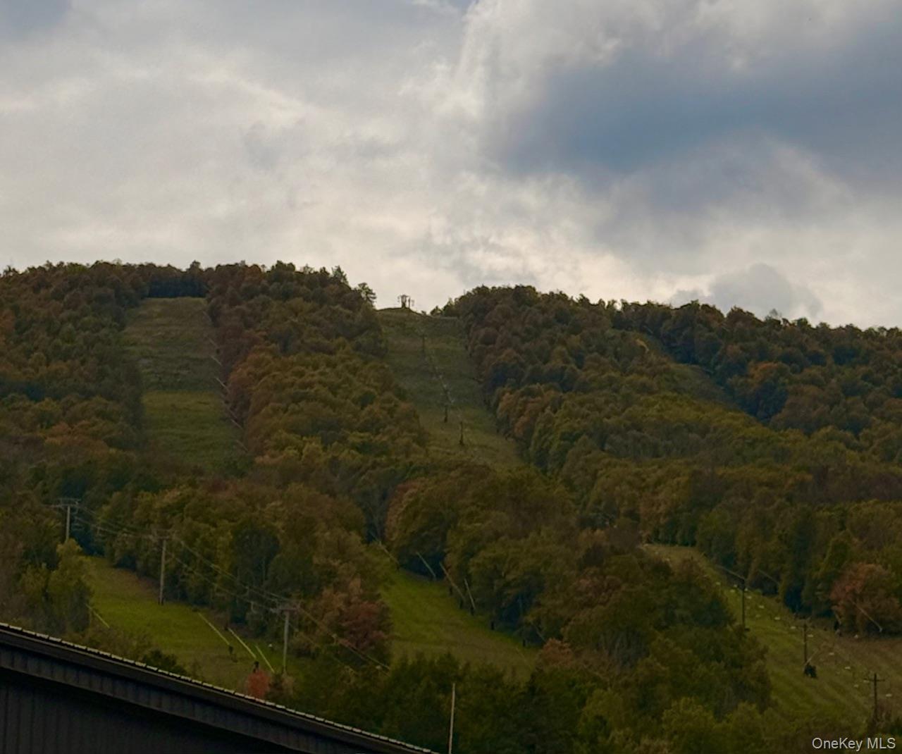 2 Quads Way, Windham, NY 12496