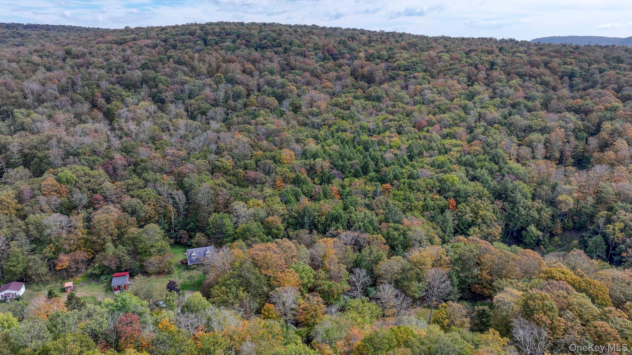 Grooville Road, Livingston Manor, NY 12758