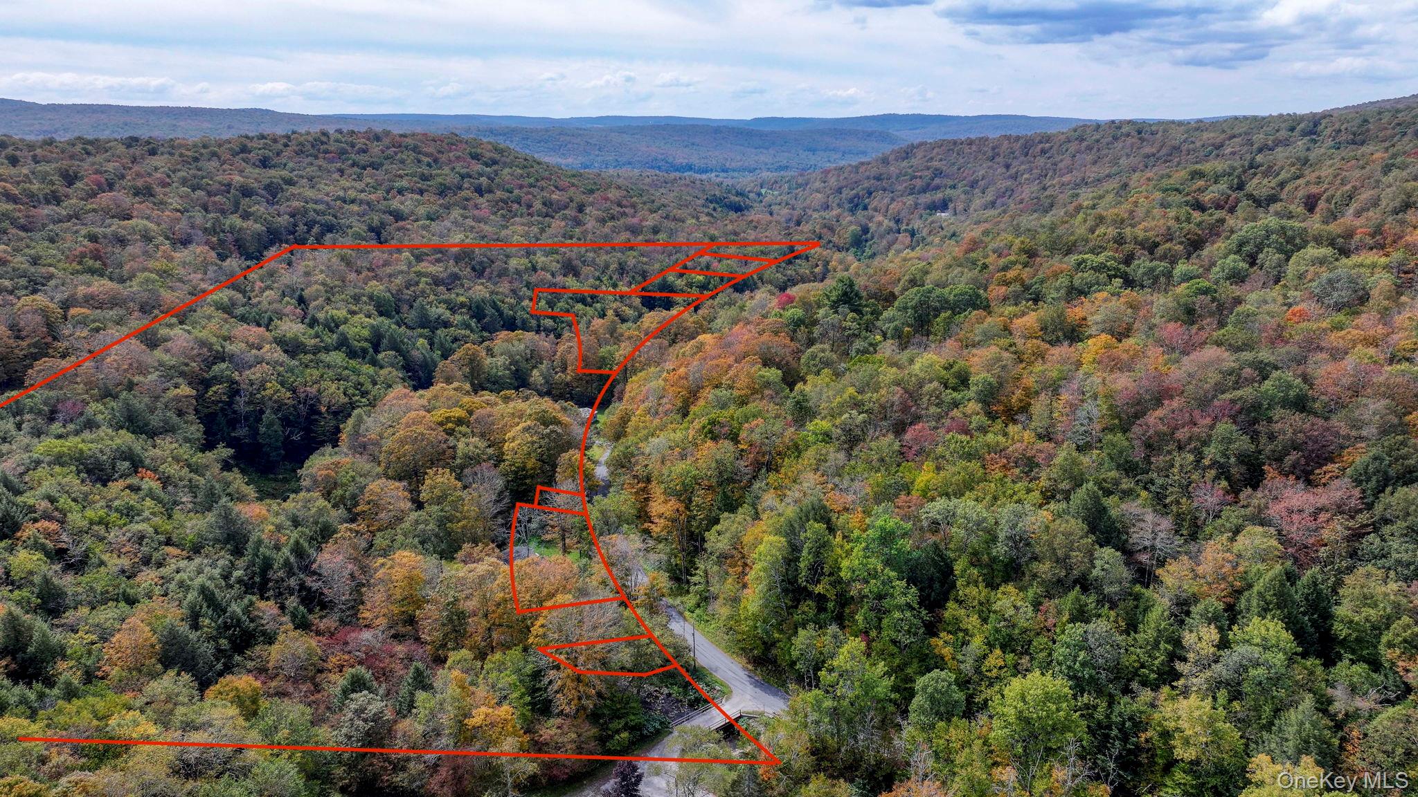 Grooville Road, Livingston Manor, NY 12758