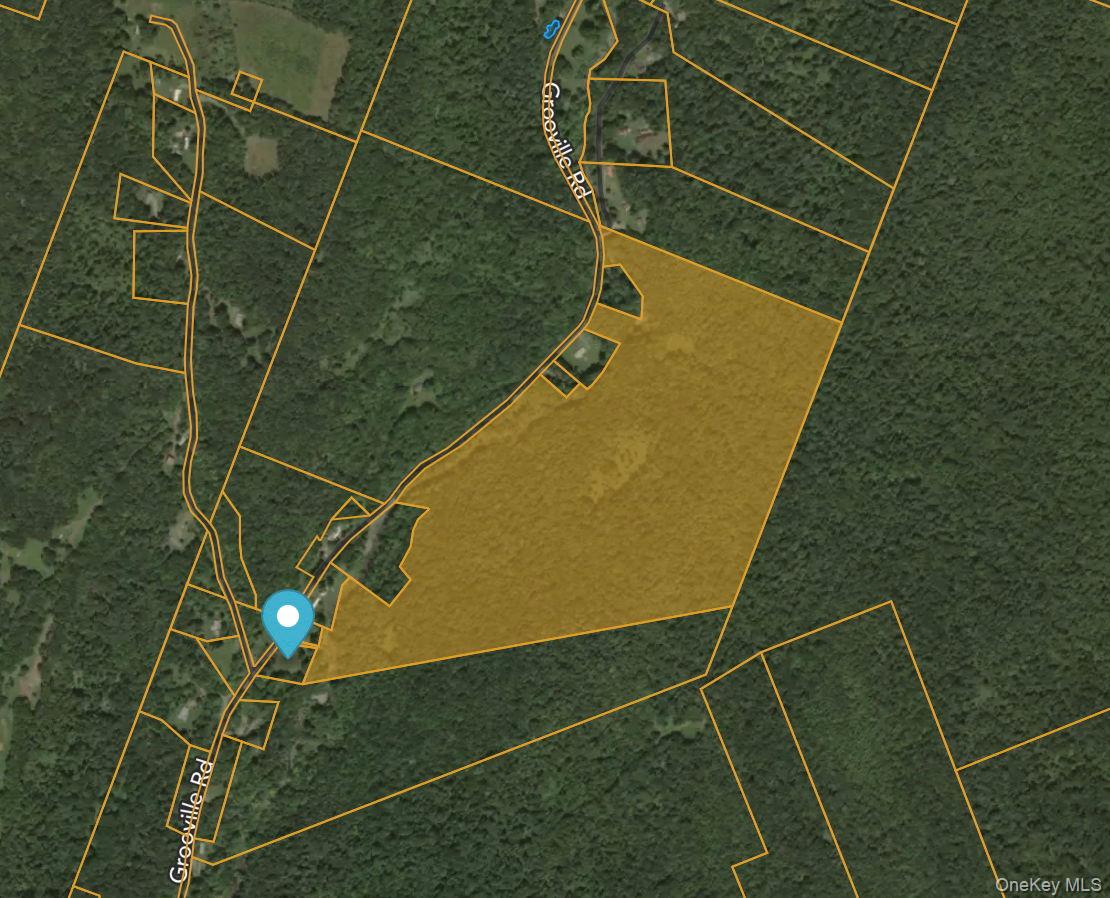 Grooville Road, Livingston Manor, NY 12758