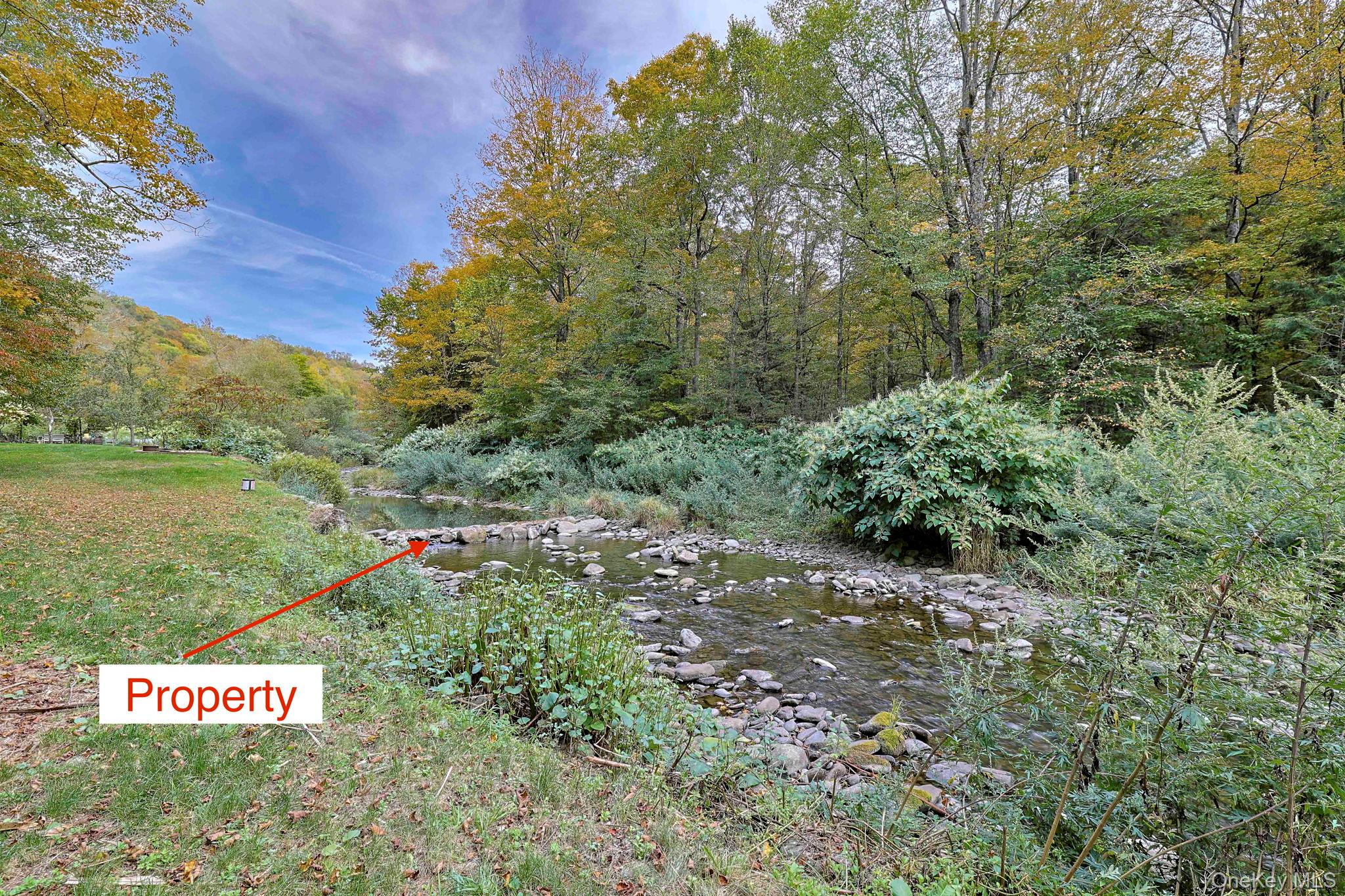 Grooville Road, Livingston Manor, NY 12758