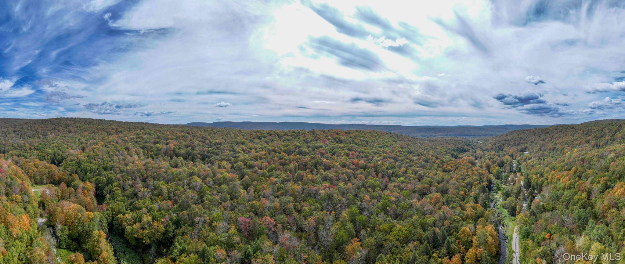 Grooville Road, Livingston Manor, NY 12758