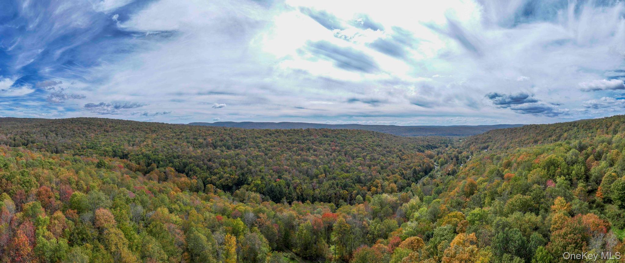 Grooville Road, Livingston Manor, NY 12758