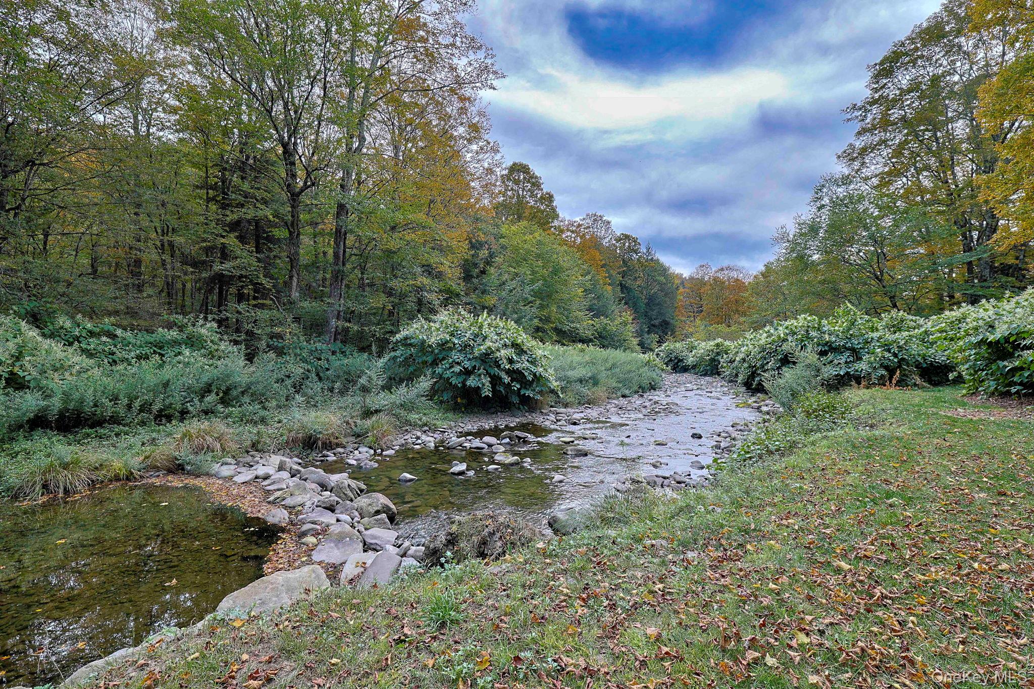 Grooville Road, Livingston Manor, NY 12758