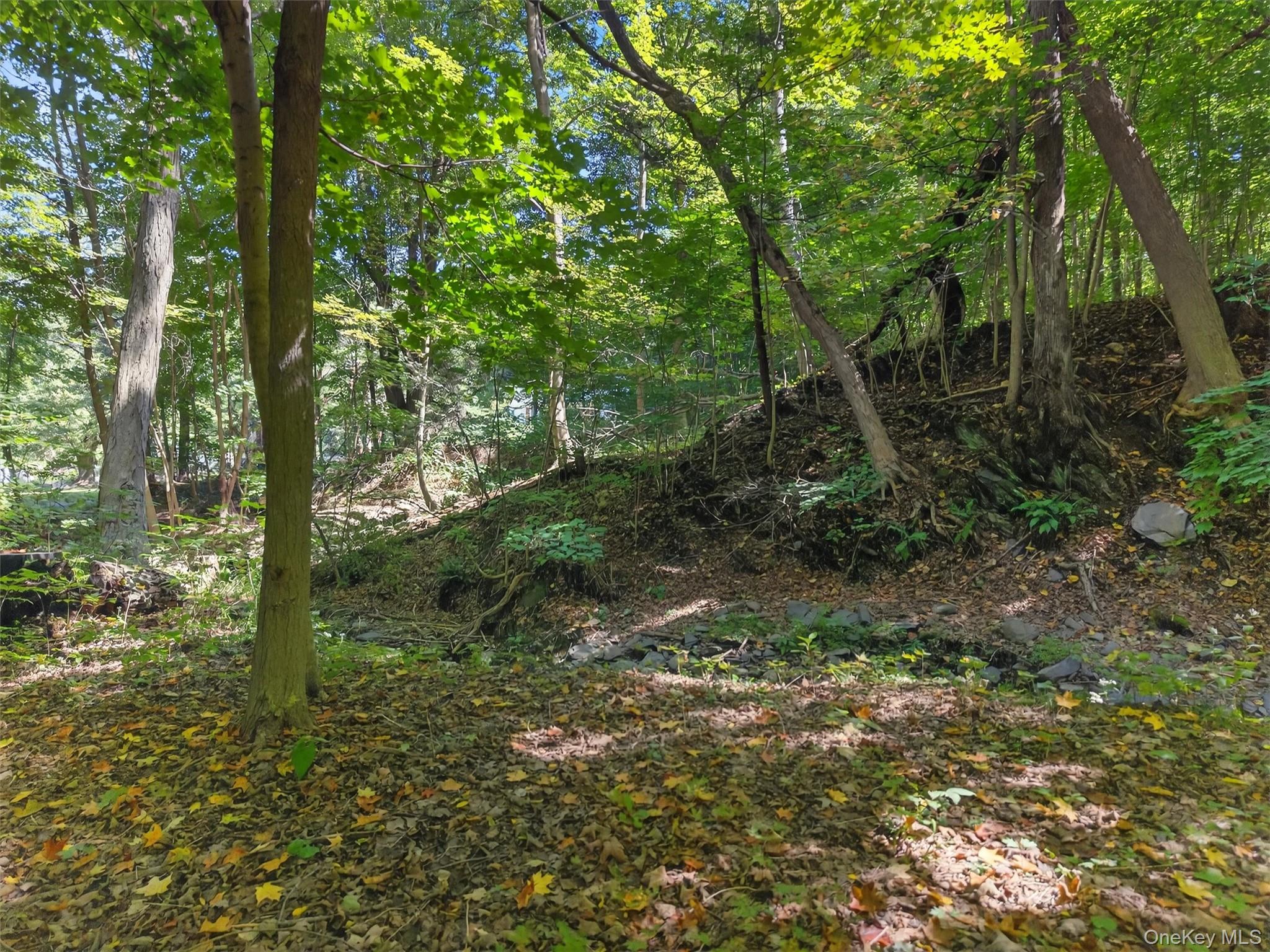 331 Mountain Lodge Road, Blooming Grove, NY 10914