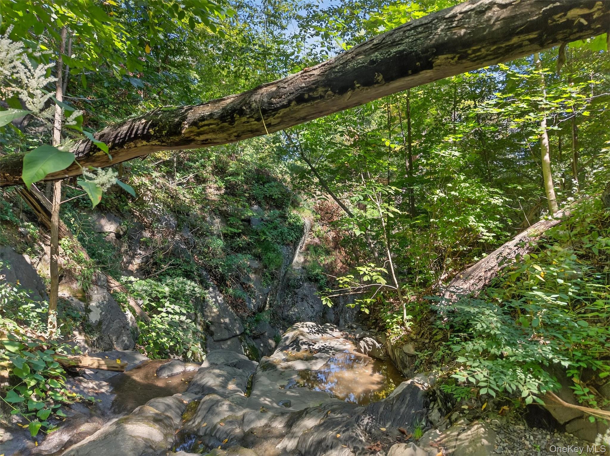 331 Mountain Lodge Road, Blooming Grove, NY 10914