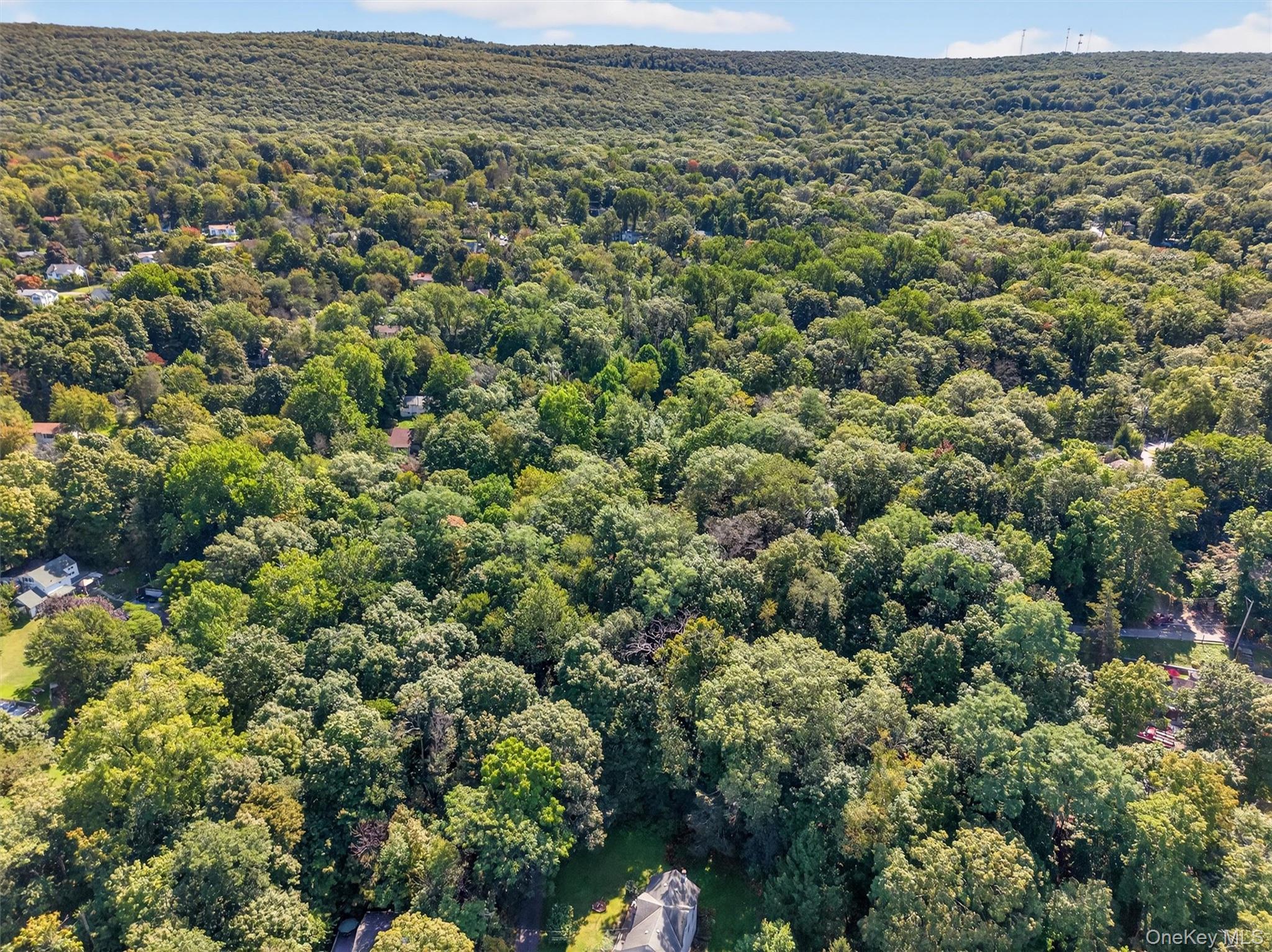 331 Mountain Lodge Road, Blooming Grove, NY 10914