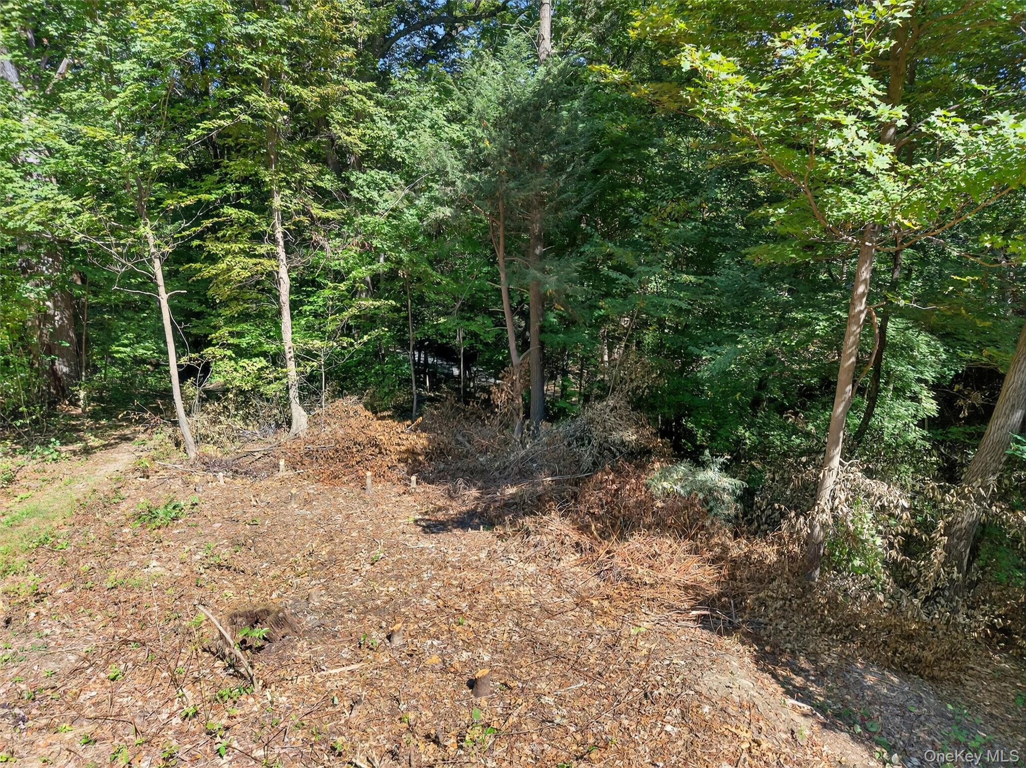 331 Mountain Lodge Road, Blooming Grove, NY 10914