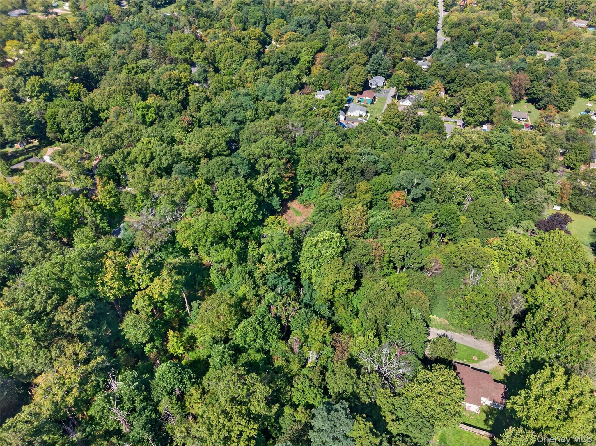 331 Mountain Lodge Road, Blooming Grove, NY 10914