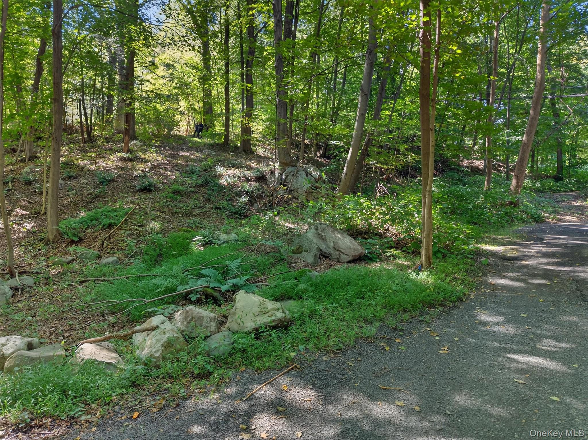 331 Mountain Lodge Road, Blooming Grove, NY 10914